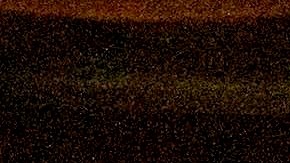 Discurso Trump Elecciones 2020