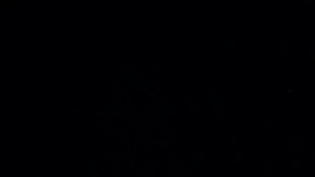 Arbol de Navidad del Rockefeller Center Christmas Tree Lighting Ceremony