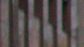 La Ciudad reportó que el miércoles hubo 115 hospitalizaciones de casos sospechos de COVID-19, de los cuales, el 34% resultó ser positivos.