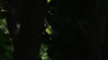 NYC ha visto cómo en los primeros nueve meses del año los asesinatos han tenido un repunte cercano al 40%. (Foto: AFP- Getty Images)