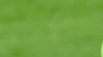 Benzema, Real Madrid, Inter de Milan