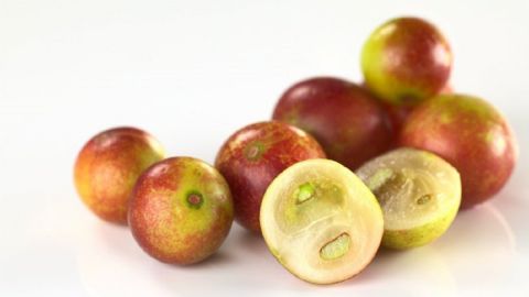 Las bayas de camu camu son ricas en polifenoles y vitamina C.