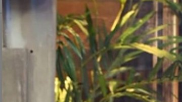 Betty ha sido juez en MasterChef México durante sus ocho temporadas.