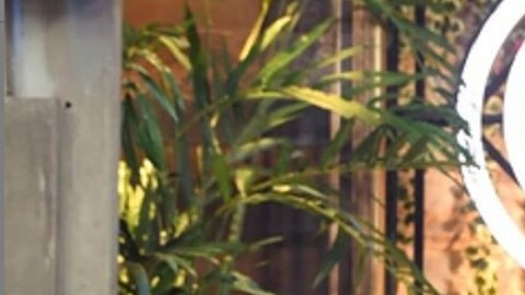 Betty ha sido juez en MasterChef México durante sus ocho temporadas.