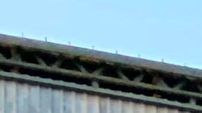 Latinos en Corona, Queens, NYC.