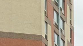 Durante el reparto de pavos y bolsas de alimentos, los bodegueros junto a Juanita Holmes, la Jefa de Patrulleros del NYPD.