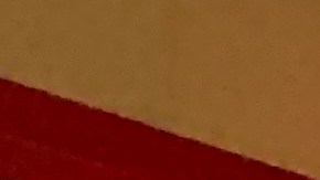 La recién electa asambleísta Jessica González-Rojas, es otro de los rostros nuevos en Albany