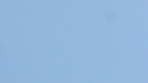 Desde 2019, grupos de derechos civiles defienden el conteo de inmigrantes indocumentados.