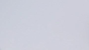 LOS ANGELES, CALIFORNIA - NOVEMBER 12: Students and supporters rally in support of DACA recipients on the day the Supreme Court hears arguments in the Deferred Action for Childhood Arrivals (DACA) case on November 12, 2019 in Los Angeles, California. Hundreds of students walked out of their schools to protest and rally in defense of DACA and immigrant rights.