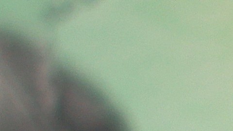 Cómo reclamar al IRS tu cheque de estímulo atrasado o perdido