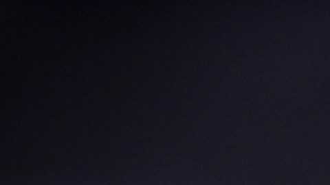 Por qué el oro será el único triunfador sin importar quién gane la elección de Estados Unidos
