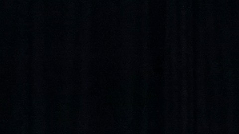 La próxima vicepresidenta de los EE.UU., Kamla Harris, y su esposo Doug Emhoff.