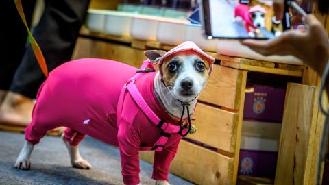 Una tienda departamental ofrece pijamas para toda la familia y también para tu perro