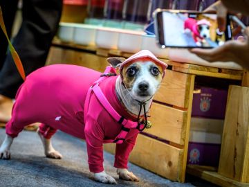 Una tienda departamental ofrece pijamas para toda la familia y también para tu perro