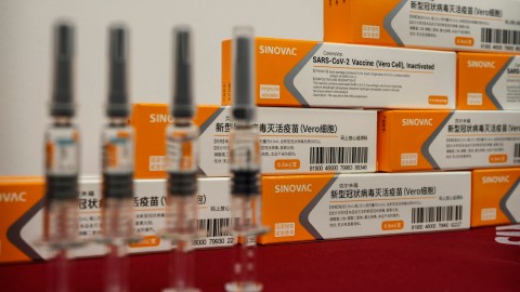 coronavirus