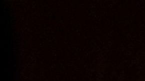 Alcohol y comida chatarra, los alimentos predilectos durante la noche de la elección presidencial