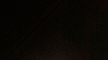 Early voters line up to vote for the 2020 Presidential election at Madison Square Garden in New York City, on October 30, 2020. - Reportedly, the school is the busiest polling station in the city where voters, in some cases, wait up to six hours to cast their ballots. (Photo by Kena Betancur / AFP) (Photo by KENA BETANCUR/AFP via Getty Images)