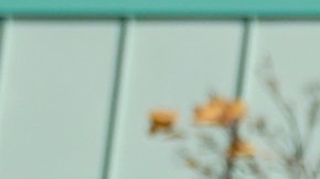 Obama en Michigan junto a Biden.