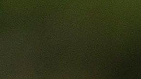 Joe Biden en un acto de campaña.