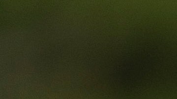 Joe Biden en un acto de campaña.