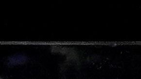 Joe Biden, Kamala Harris y sus familias saludan al público.