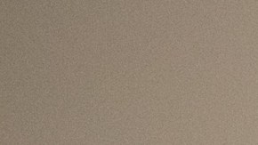 Funcionarios electorales en Georgia.