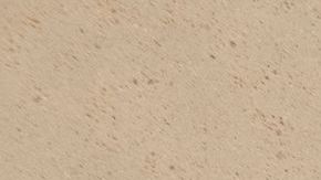 Presos en El Paso llegan a un hospital para reubicar muertos por coronavirus.