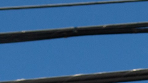 Jon Ossoff es uno de los demócratas que aspira a llegar al Senado.