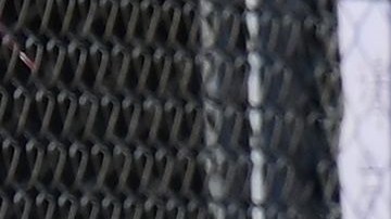 Los hispanos e hispanas tienen más del doble de probabilidades de sufrir inseguridad alimentaria que la población blanca no hispana.