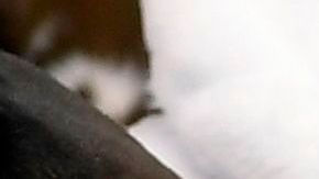 3 tipos de productos con ofertas durante el Black Friday y Cyber Monday