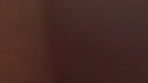 Ticketmaster planea comprobar tu estado de salud antes de comprar un boleto para un evento