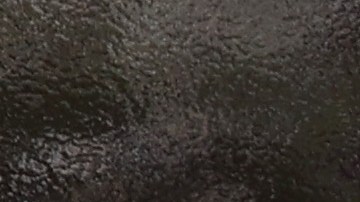 UPS permitirá a sus trabajadores usar cabello largo, barba y bigote