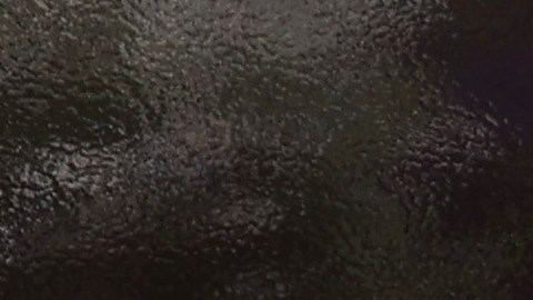 UPS permitirá a sus trabajadores usar cabello largo, barba y bigote