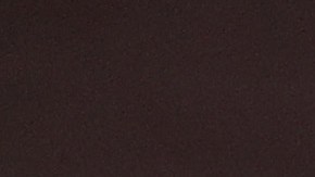 Lara Trump, nuera del presidente.