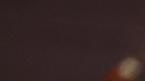Lara Trump, nuera del presidente.