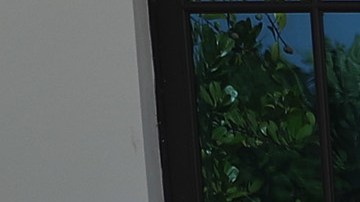 Melania Trump votó en Palm Beach.