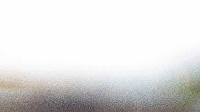 Alberto Fernandez Maradona