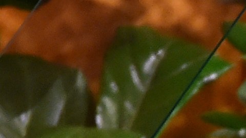 Julissa Reynoso será la jefa de gabinete de Jill Biden.