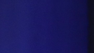 El presidente Trump fue impulsado por Fox News.