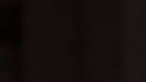 El Servicio Secreto no confirmó oficialmente sus planes sobre el presidente Trump.