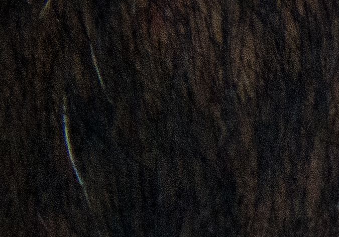 Apple reemplazará AirPods Pro con problemas de sonido gratis