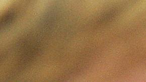 Joaquín Sánchez no tuvo una buena relación con el DT.