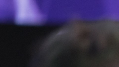 Qué libro leyó Mark Cuban que lo impulsó a crear su fortuna