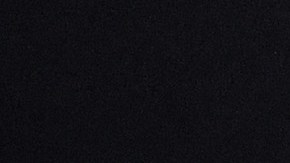 PornHub publica las principales búsquedas de pornografía durante la semana de elecciones