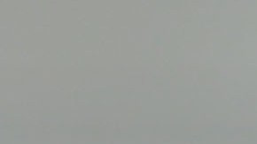 Saucedo suma un gol con los felinos.