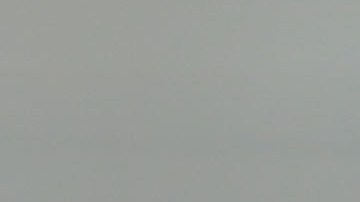 Saucedo suma un gol con los felinos.