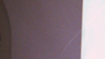 El presidente John F. Kennedy indultó a un pavo el 19 de noviembre de 1963.