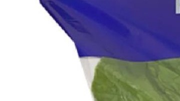 Autoridades sanitarias investigan si las personas infectadas se enfermaron por comer lechuga romana Tanimura & Antle.