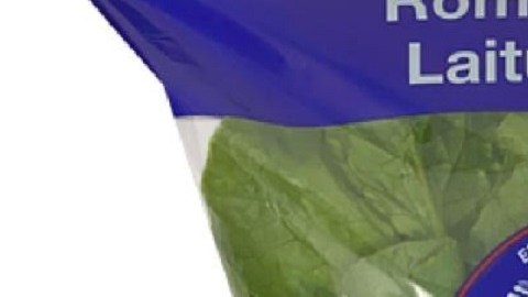 Autoridades sanitarias investigan si las personas infectadas se enfermaron por comer lechuga romana Tanimura & Antle.
