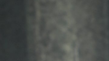 Maria Celeste Arrarás.